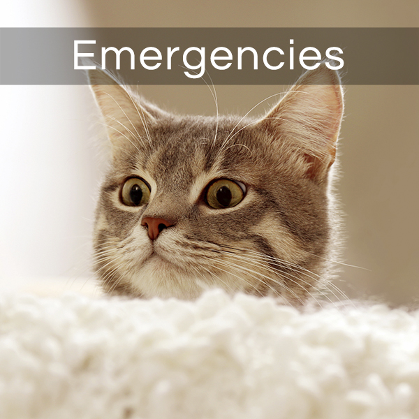 Emergencies