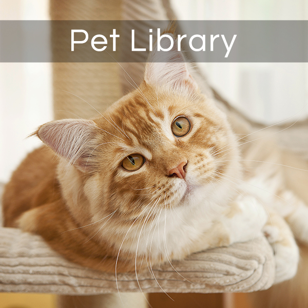 Pet Library